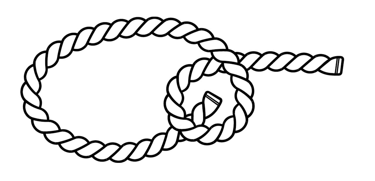 Palstek Schritt 3: Lose Ende von unten durchs Auge
