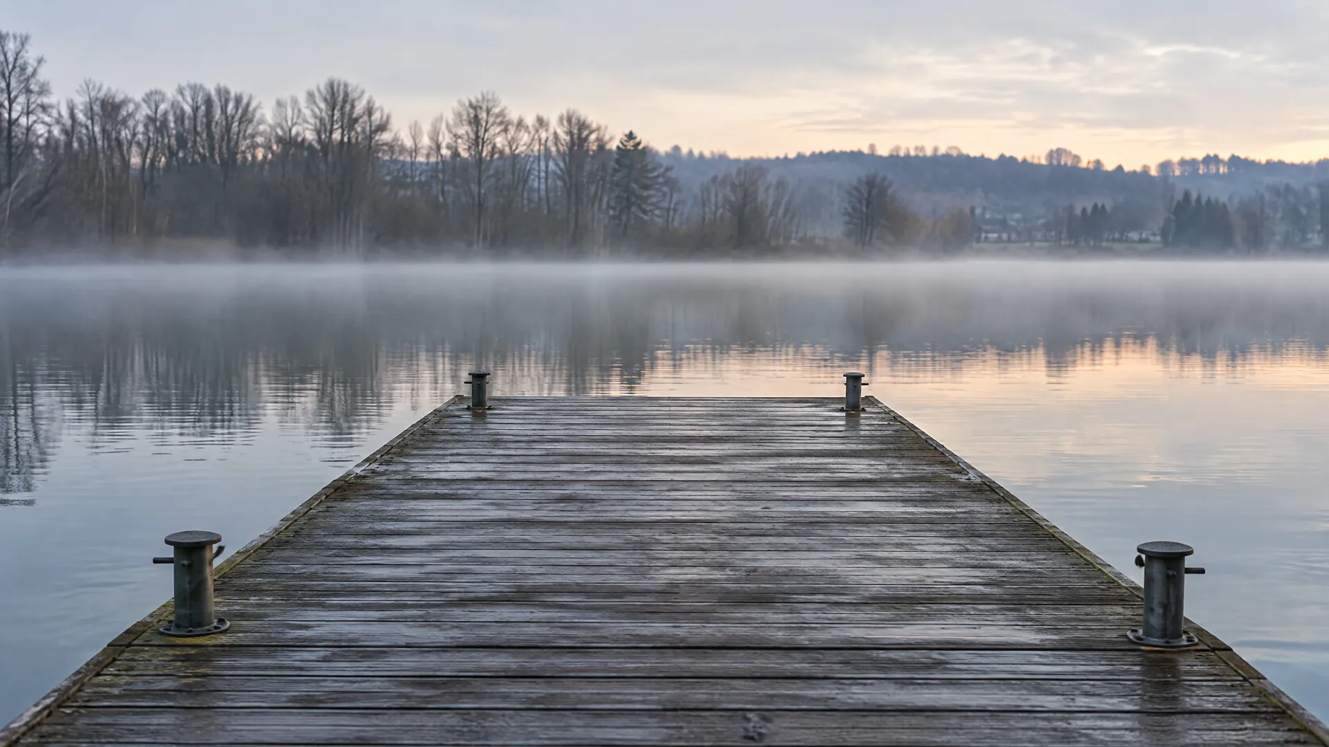Leerer Holzsteg mit Pollern an einem See, dahinter Nebel und kahle Bäume