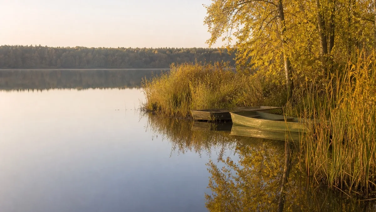 Stiller See im Herbstlicht, bewachsene Uferzunge mit gelb gefärbten Bäumen und Schilf, zwei kleine Ruderboote am Ufer, spiegelglattes Wasser vor bewaldetem Horizont